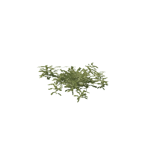 Plant 67_LOD_0